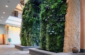 greenwalls