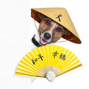 cane ristorante cinese