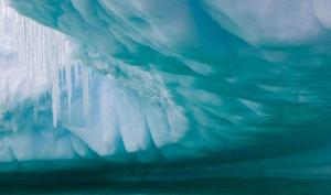 vita laghi subglaciali antartici