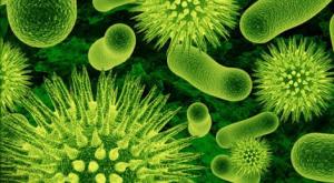 super batteri antibiotici oneill