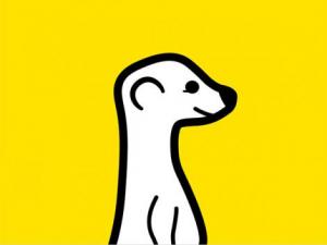 meerkat logo 600