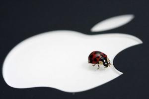 Apple Bug firmware