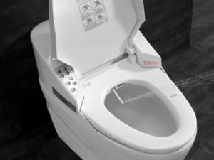 smart toilet hacker