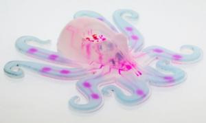 Octobot