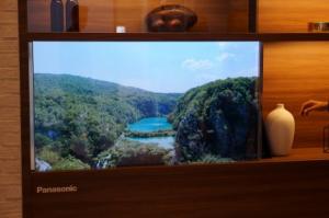 panasonic tv trasparente 02