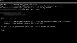 petya based eng 3