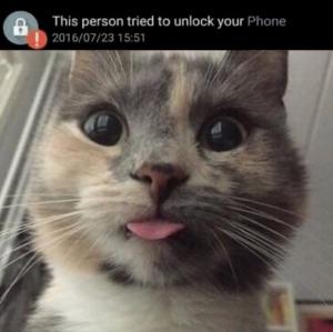cat unlock phone
