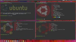 ubuntu 1804 raccolta informazioni
