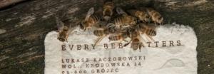 Bee Saving Paper Card lead