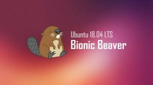 Ubuntu 18 04 Bionic Beaver 10 anni supporto