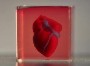 cuore stampato 3d