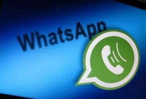 whatsapp gif falla