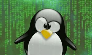 linux falle windows