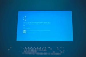 win11 24h2 ssd bsod