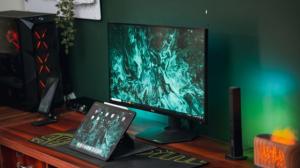 oled msi burn in