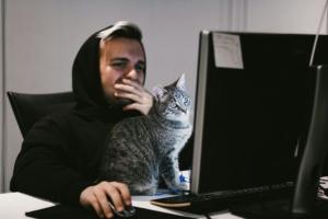 google web aperto crisi