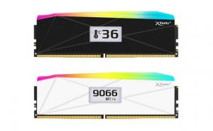 ram oled 01