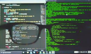 linus linux ia bug report