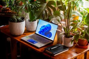 windows 11 llp patch agosto