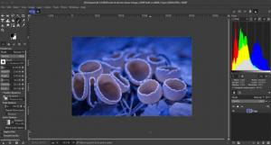 gimp 3 4 formato xml