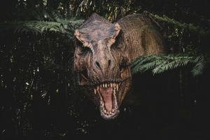 ubuntu t rex